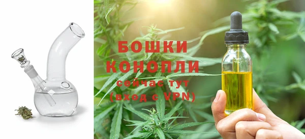 гидропоника Аша