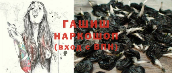 гидропоника Аша