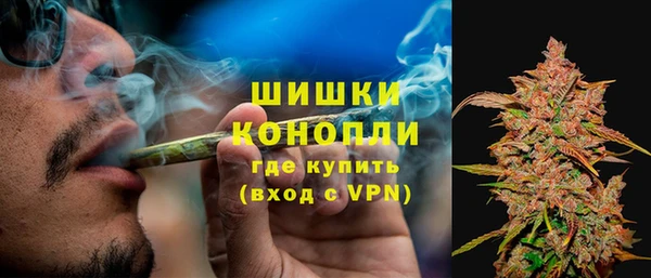 гидропоника Аша