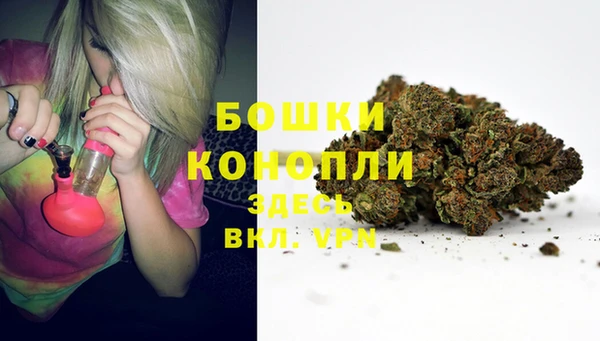 гидропоника Аша