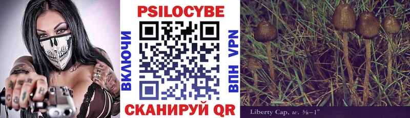 где найти наркотики  Калач  Псилоцибиновые грибы GOLDEN TEACHER 